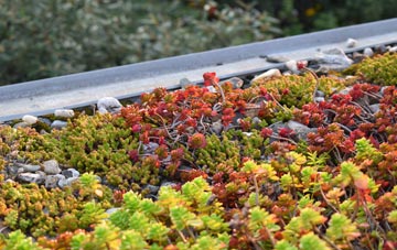 the cost of Draycot green roof installation