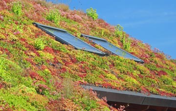 Draycot living roof systems